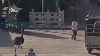 激情的高峰期,揭秘人生高潮时刻的奥秘