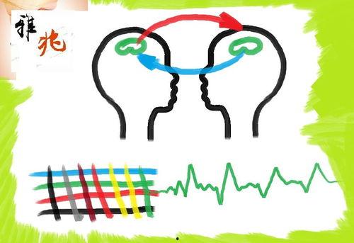 记忆交换,探索心灵深处的交换之旅