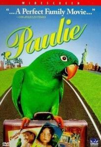 阿鹦爱说笑,阿鹦笑谈人生百态